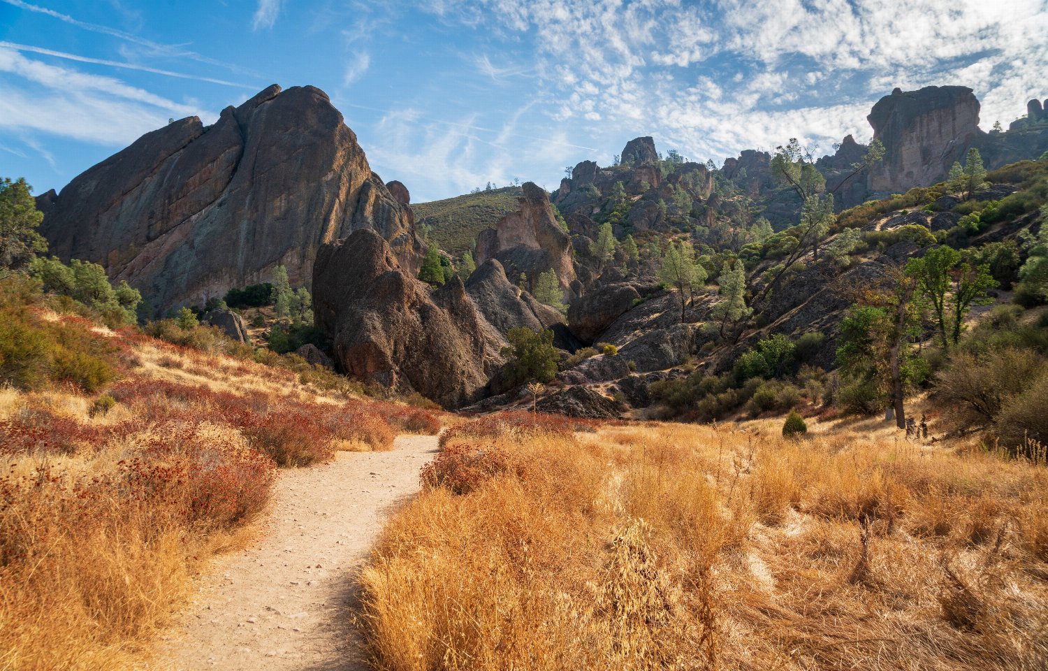 Hiking trail in Pinnacles National Park