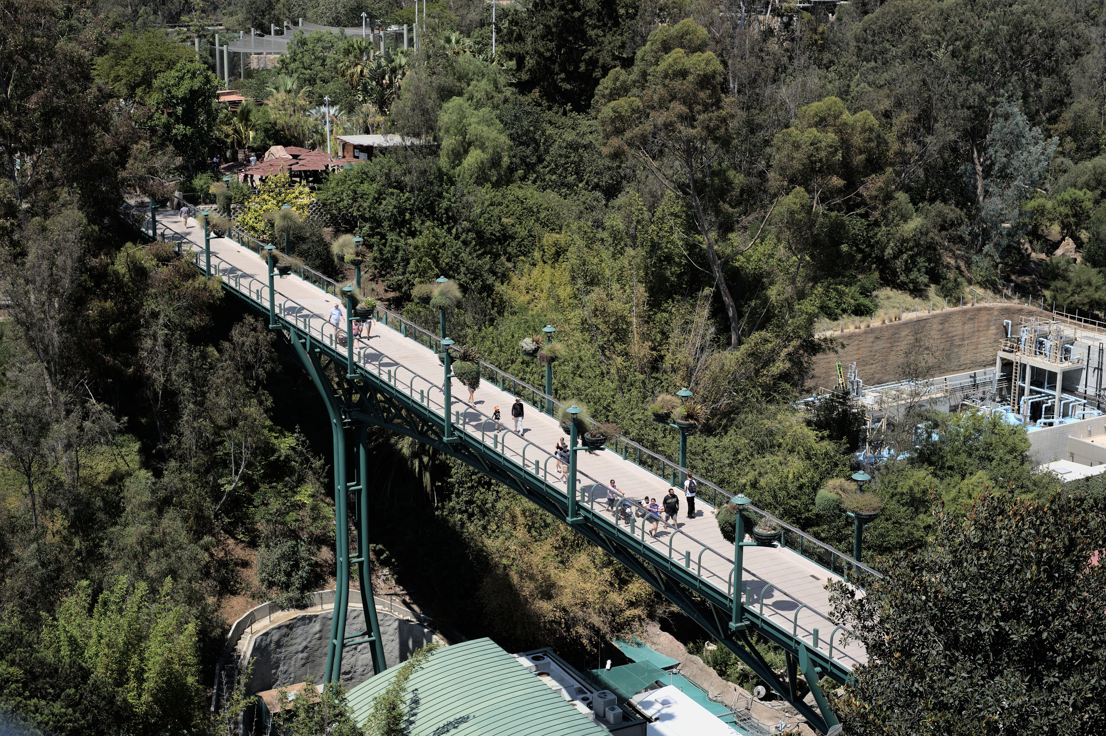 San Diego Dinge Zoo Brücke – Aktivitäten