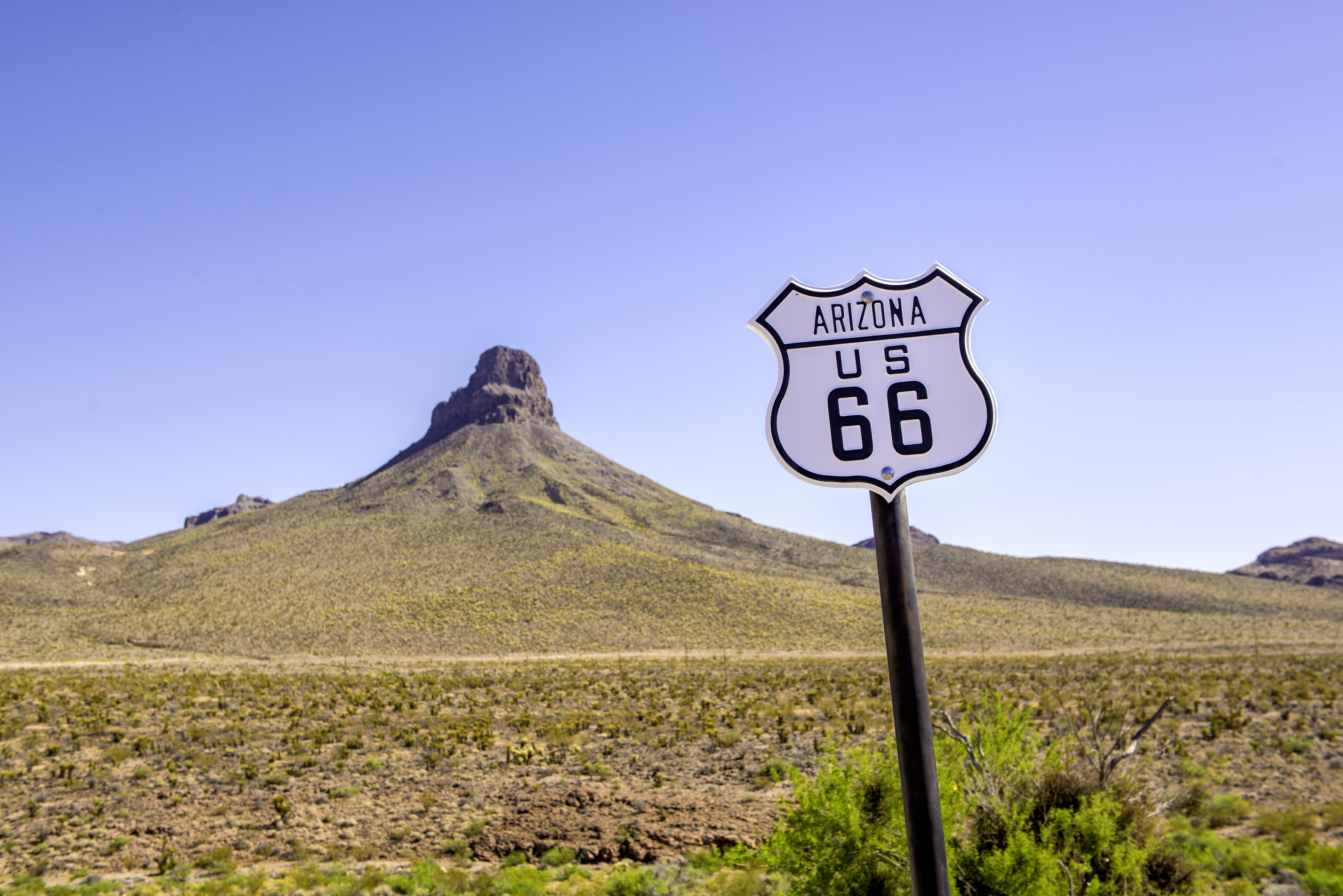 US Route 66 sign in Arizona