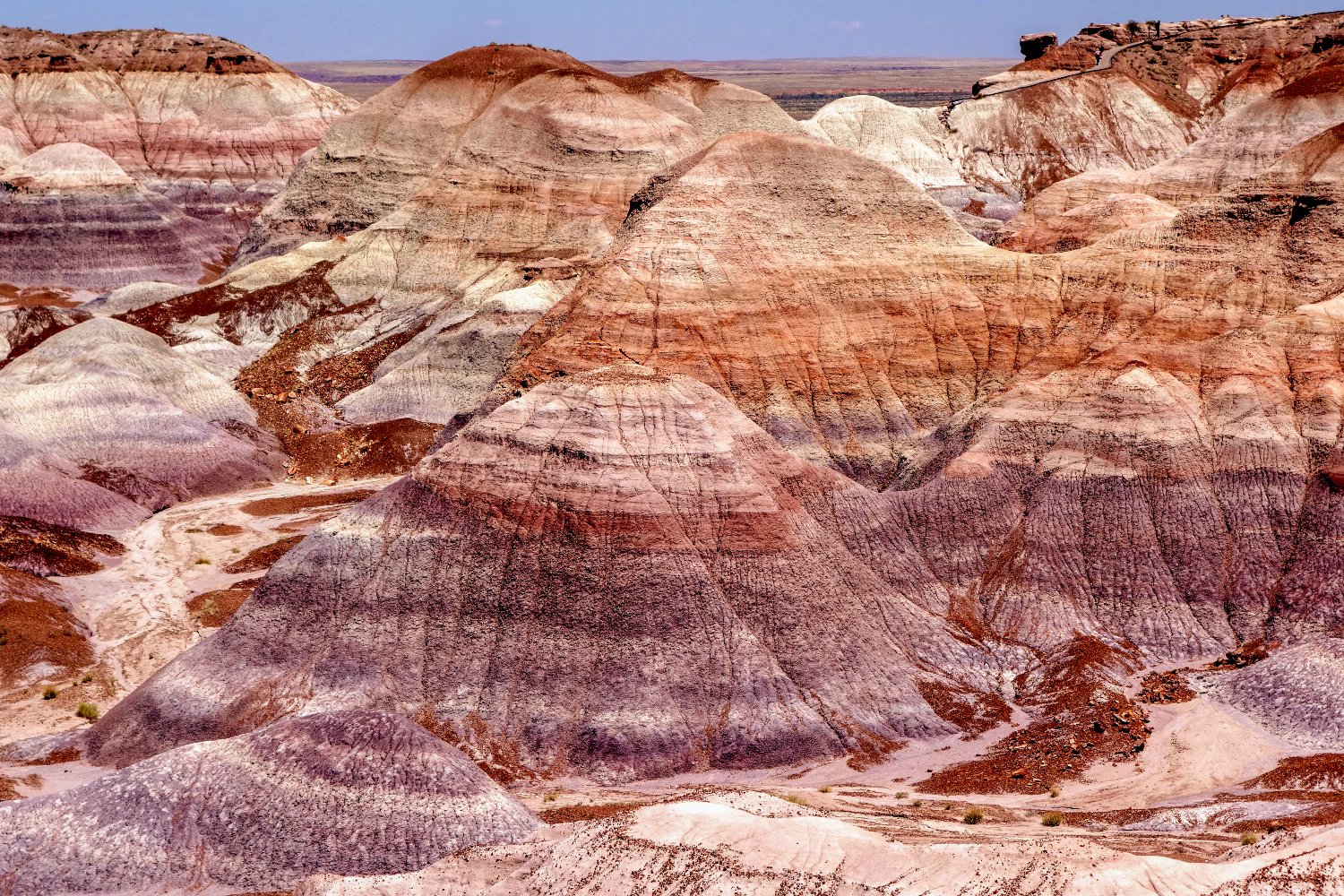 Die gemalte Wüste in Arizona